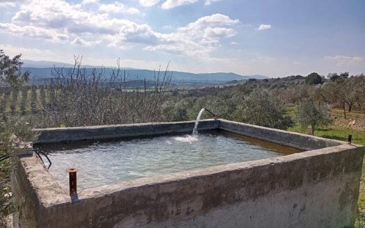 Bergama da Satılık Numaratajli Tarla