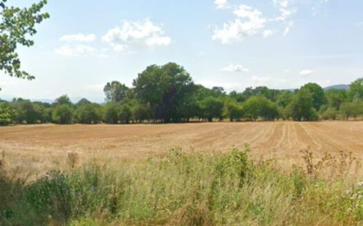 Bolu Merkez Kuruçay Mevki Satılık Tarla
