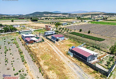 Foça Gerenköy Rızai Taksimleri Yapılmış Tarla