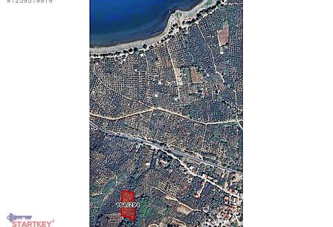 Fırsat Zeytinlik İznik Gölü Yakını