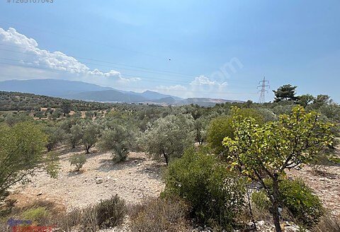 Bornova Yaka Karaağaç Mevki Müstakil Tapulu Satılık Bağ