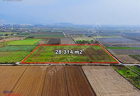 İki Kadın Bir Anahtar’dan Satılık Helvacı Sınırı 28.000m2 Tarla