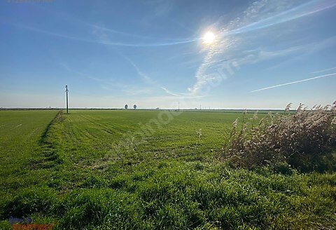 Foça Yenibağarası Yerleşim Yerine Yakın Satılık Tarla