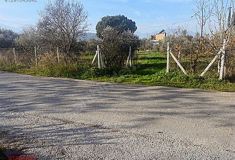 İzmir Kemalpaşa ÖREN ‘ de Satılık İmarlı Ev ve Arazisi.