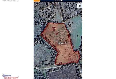 Kazdağlarının Oksijen deposu ARAZİ FİYAT DÜŞTÜ