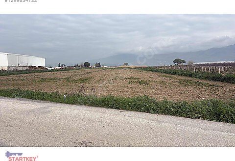 Menemen Çavuş Mahallesi Sanayi Hattında 7.900 m2 Eğimsiz Arazi