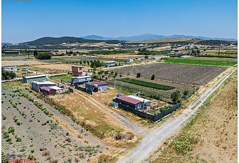 Foça Gerenköy Rızai Taksimleri Yapılmış Tarla